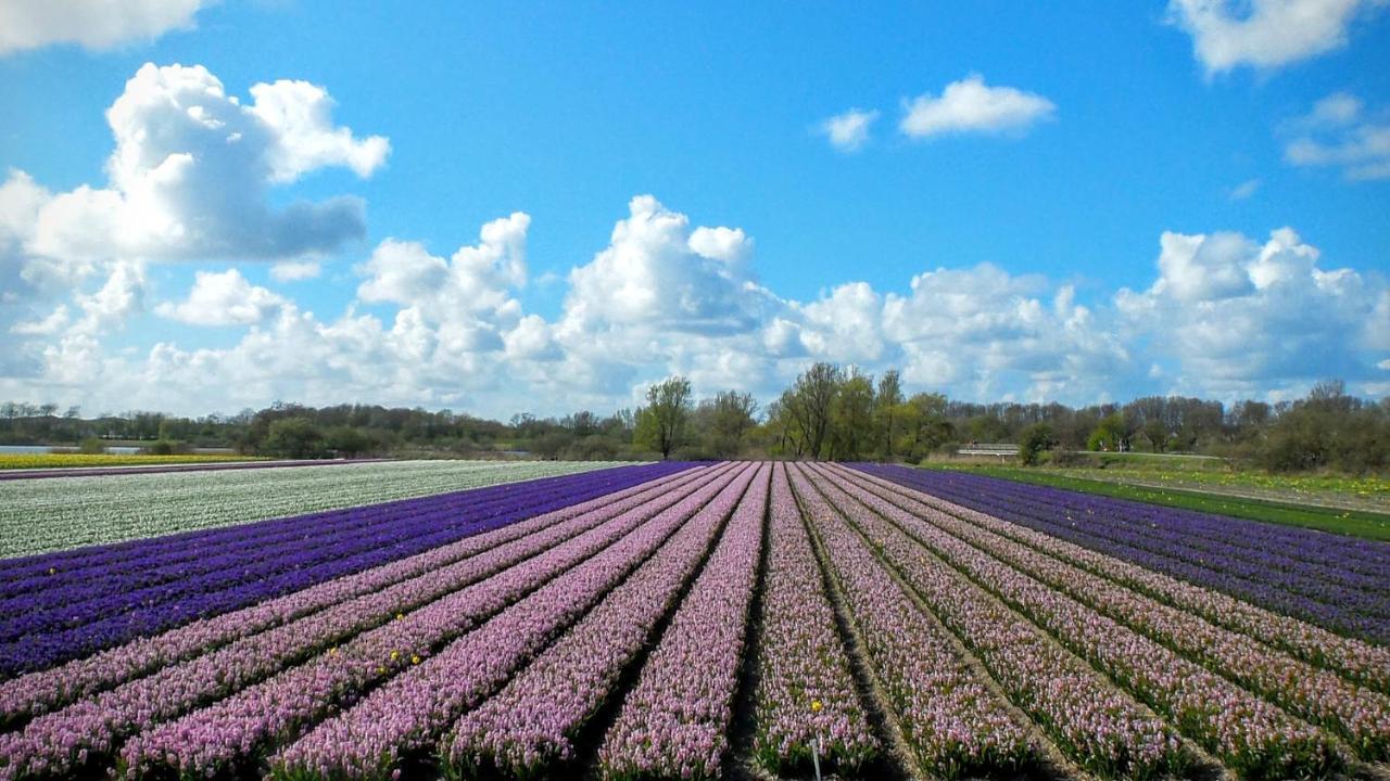 B&B Het Ruime Sop Вассенар Экстерьер фото